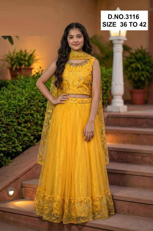 Falak 3116 Designer lehenga choli in Delhi
